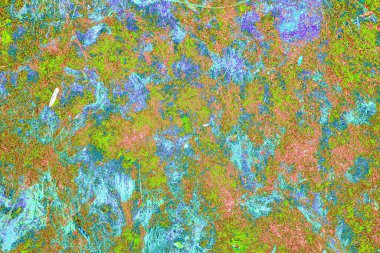 Yangın sonrası çorak arazi: kuru zemin, yanmış kuru saman