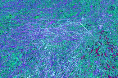 İlkbaharda ormanın kenarında kuru otlar. Transcarpathia