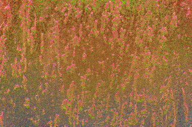 Arkaplan olarak kullanmak için duvarın resmi.