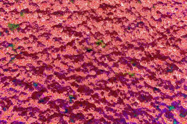 yaratıcı ve tasarım sanatı, kopyalama alanı duvar kağıdı, soyut renkli doku arkaplanı  