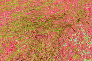 İlkbaharda ormanın kenarında kuru otlar. Transcarpathia