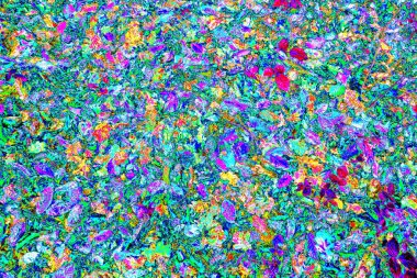 Yere düşen sarı yapraklar