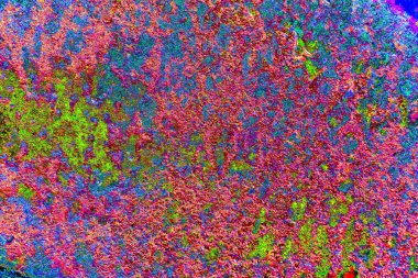 Soyut neon renkler çizik ve çatlaklarla dokulu duvar. 