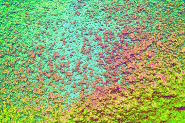 Yaratıcı soyut sanat eserleri, renkli doku arka planına sahip rustik duvarları kopyala