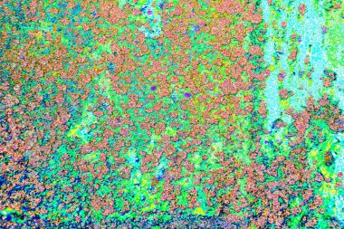 Yaratıcı soyut sanat eserleri, renkli doku arka planına sahip rustik duvarları kopyala