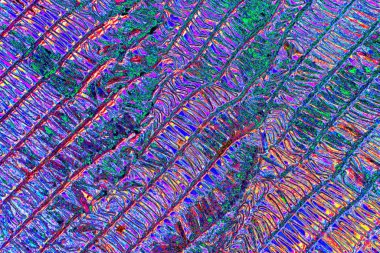 soyut neon renkleri desenli dekoratif arkaplan