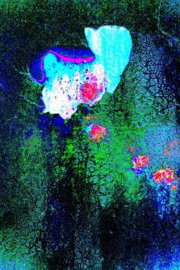 yaratıcı ve tasarım sanatı, kopyalama alanı duvar kağıdı, soyut renkli doku arkaplanı