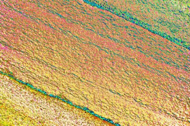 Çizik ve çatlaklarla metal doku 