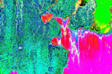 Yaratıcı soyut sanat eserleri, renkli doku arka planına sahip rustik duvarları kopyala