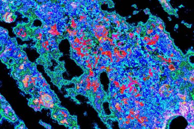 Soyut neon renkler çizik ve çatlaklarla dokulu duvar. 