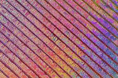 soyut neon renkleri desenli dekoratif arkaplan