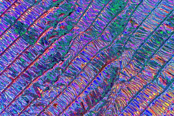 soyut neon renkleri desenli dekoratif arkaplan