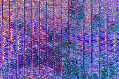 soyut neon renkleri desenli dekoratif arkaplan