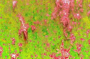 Yaratıcı soyut sanat çalışması, renkli doku arka planına sahip uzay duvar kağıdını kopyala