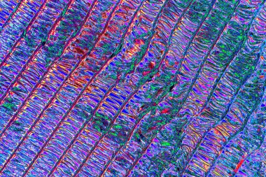 soyut neon renkleri desenli dekoratif arkaplan