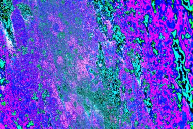 Yaratıcı soyut sanat eserleri, renkli doku arka planına sahip rustik duvarları kopyala