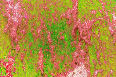 Yaratıcı soyut sanat çalışması, renkli doku arka planına sahip uzay duvar kağıdını kopyala