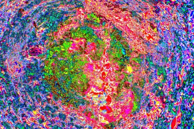 Yaratıcı soyut sanat eserleri, renkli doku arka planına sahip rustik duvarları kopyala