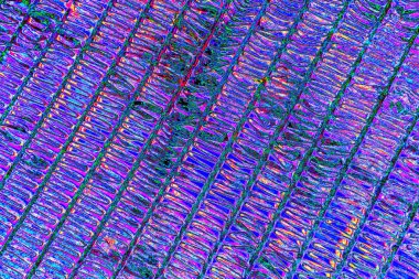 soyut neon renkleri desenli dekoratif arkaplan