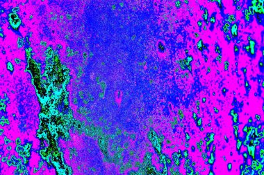 Yaratıcı soyut sanat eserleri, renkli doku arka planına sahip rustik duvarları kopyala