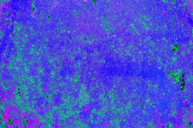 Yaratıcı soyut sanat eserleri, renkli doku arka planına sahip rustik duvarları kopyala