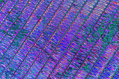 soyut neon renkleri desenli dekoratif arkaplan