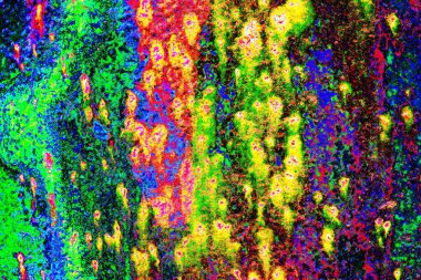 yaratıcı ve tasarım sanatı, kopyalama alanı duvar kağıdı, soyut renkli doku arkaplanı