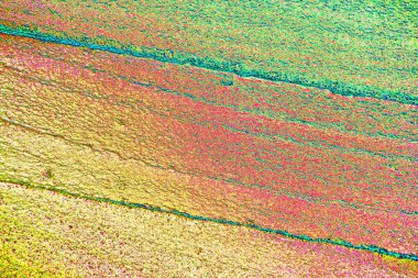 Çizik ve çatlaklarla metal doku 