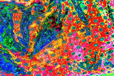 yaratıcı ve tasarım sanatı, kopyalama alanı duvar kağıdı, soyut renkli doku arkaplanı  