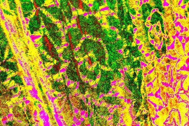 yaratıcı ve tasarım sanatı, kopyalama alanı duvar kağıdı, soyut renkli doku arkaplanı  