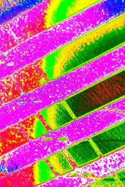 yaratıcı ve tasarım sanatı, kopyalama alanı duvar kağıdı, soyut renkli doku arkaplanı  