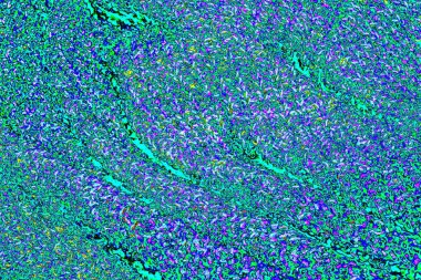 yaratıcı ve tasarım sanatı, kopyalama alanı duvar kağıdı, soyut renkli doku arkaplanı  
