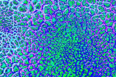 yaratıcı ve tasarım sanatı, kopyalama alanı duvar kağıdı, soyut renkli doku arkaplanı  