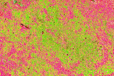 yaratıcı ve tasarım sanatı, kopyalama alanı duvar kağıdı, soyut renkli doku arkaplanı  