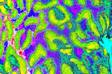 yaratıcı ve tasarım sanatı, kopyalama alanı duvar kağıdı, soyut renkli doku arkaplanı  