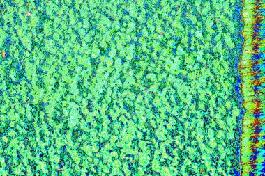 yaratıcı ve tasarım sanatı, kopyalama alanı duvar kağıdı, soyut renkli doku arkaplanı  