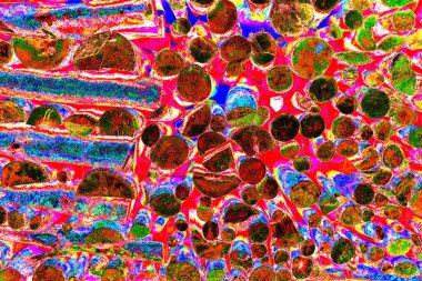 Ağaç kütükleri yığını. Tahta günlük kaydı dokusu arkaplanı