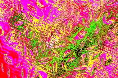 yaratıcı ve tasarım sanatı, kopyalama alanı duvar kağıdı, soyut renkli doku arkaplanı  