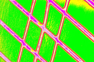 yaratıcı ve tasarım sanatı, kopyalama alanı duvar kağıdı, soyut renkli doku arkaplanı  