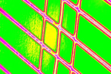 yaratıcı ve tasarım sanatı, kopyalama alanı duvar kağıdı, soyut renkli doku arkaplanı  