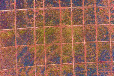 yaratıcı ve tasarım sanatı, kopyalama alanı duvar kağıdı, soyut renkli doku arkaplanı  