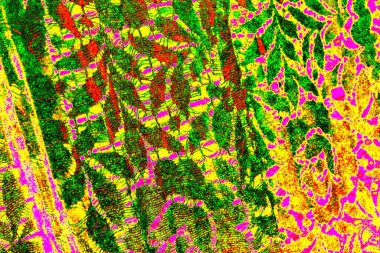 yaratıcı ve tasarım sanatı, kopyalama alanı duvar kağıdı, soyut renkli doku arkaplanı  