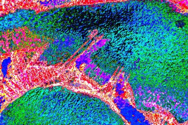 yaratıcı ve tasarım sanatı, kopyalama alanı duvar kağıdı, soyut renkli doku arkaplanı  