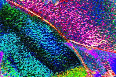 yaratıcı ve tasarım sanatı, kopyalama alanı duvar kağıdı, soyut renkli doku arkaplanı  