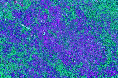 yaratıcı ve tasarım sanatı, kopyalama alanı duvar kağıdı, soyut renkli doku arkaplanı  