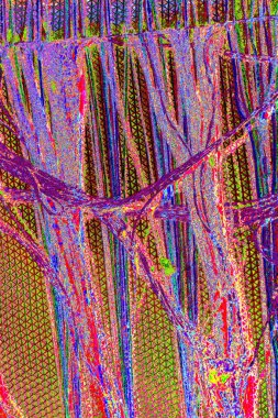 yaratıcı ve tasarım sanatı, kopyalama alanı duvar kağıdı, soyut renkli doku arkaplanı  