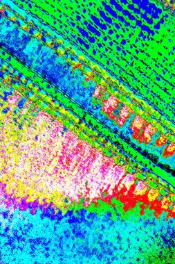 yaratıcı ve tasarım sanatı, kopyalama alanı duvar kağıdı, soyut renkli doku arkaplanı  