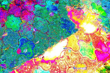 yaratıcı ve tasarım sanatı, kopyalama alanı duvar kağıdı, soyut renkli doku arkaplanı  