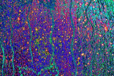 yaratıcı ve tasarım sanatı, kopyalama alanı duvar kağıdı, soyut renkli doku arkaplanı  