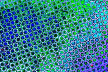 yaratıcı ve tasarım sanatı, kopyalama alanı duvar kağıdı, soyut renkli doku arkaplanı  